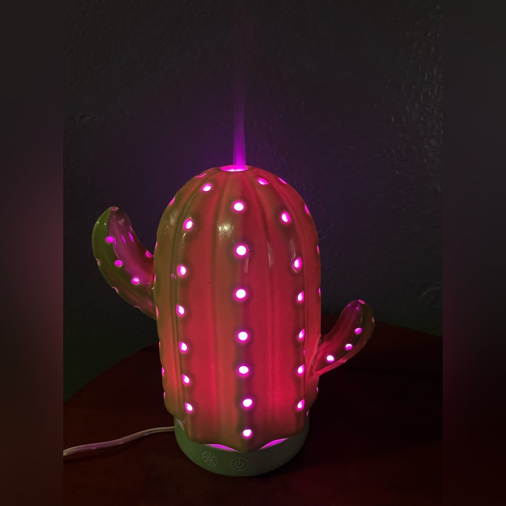 Ceramics Cactus Humidifiers/oil diffuser